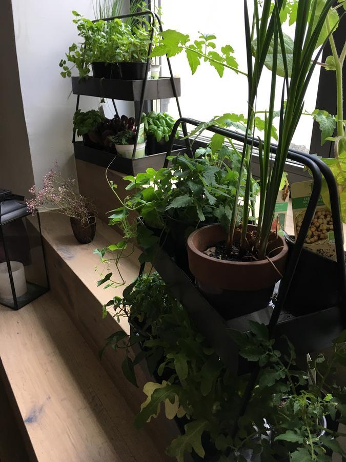 Faktorei 因斯布鲁克 外观 照片